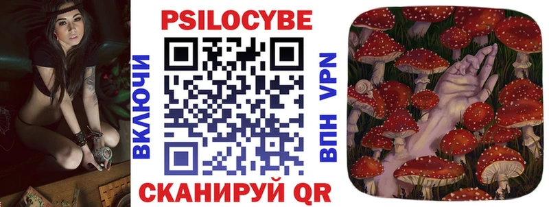 наркота  Тара  Псилоцибиновые грибы Psilocybe 